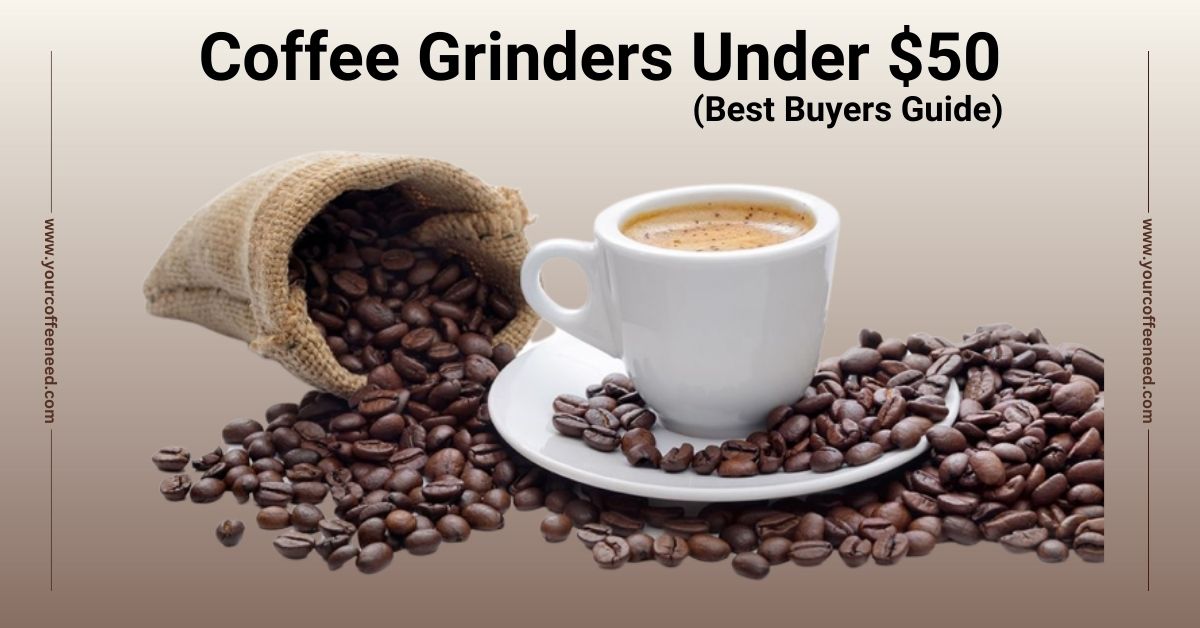 Image of Best Coffee Grinders Under $50 (Buyers Guide)