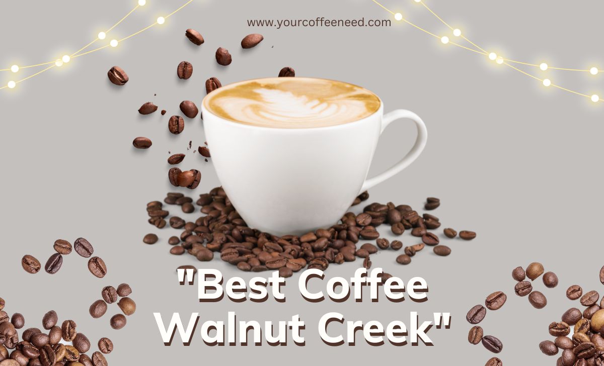 best coffee walnut creek