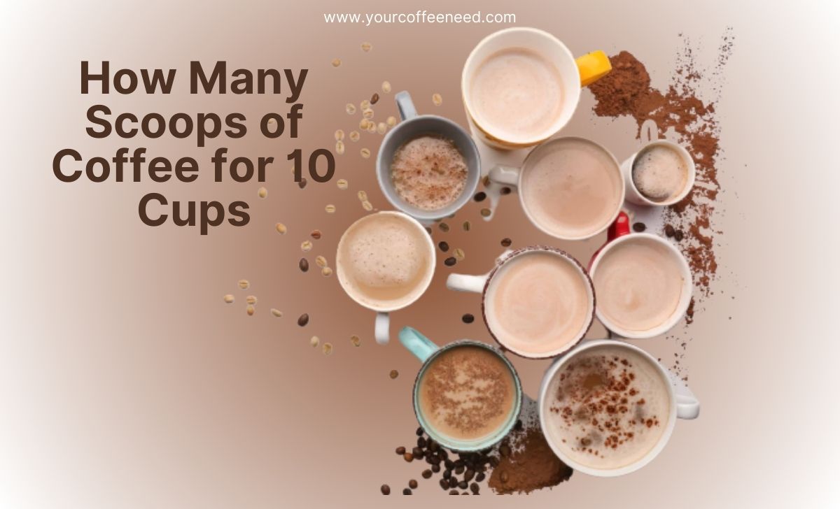 How Many Scoops of Coffee for 10 Cups