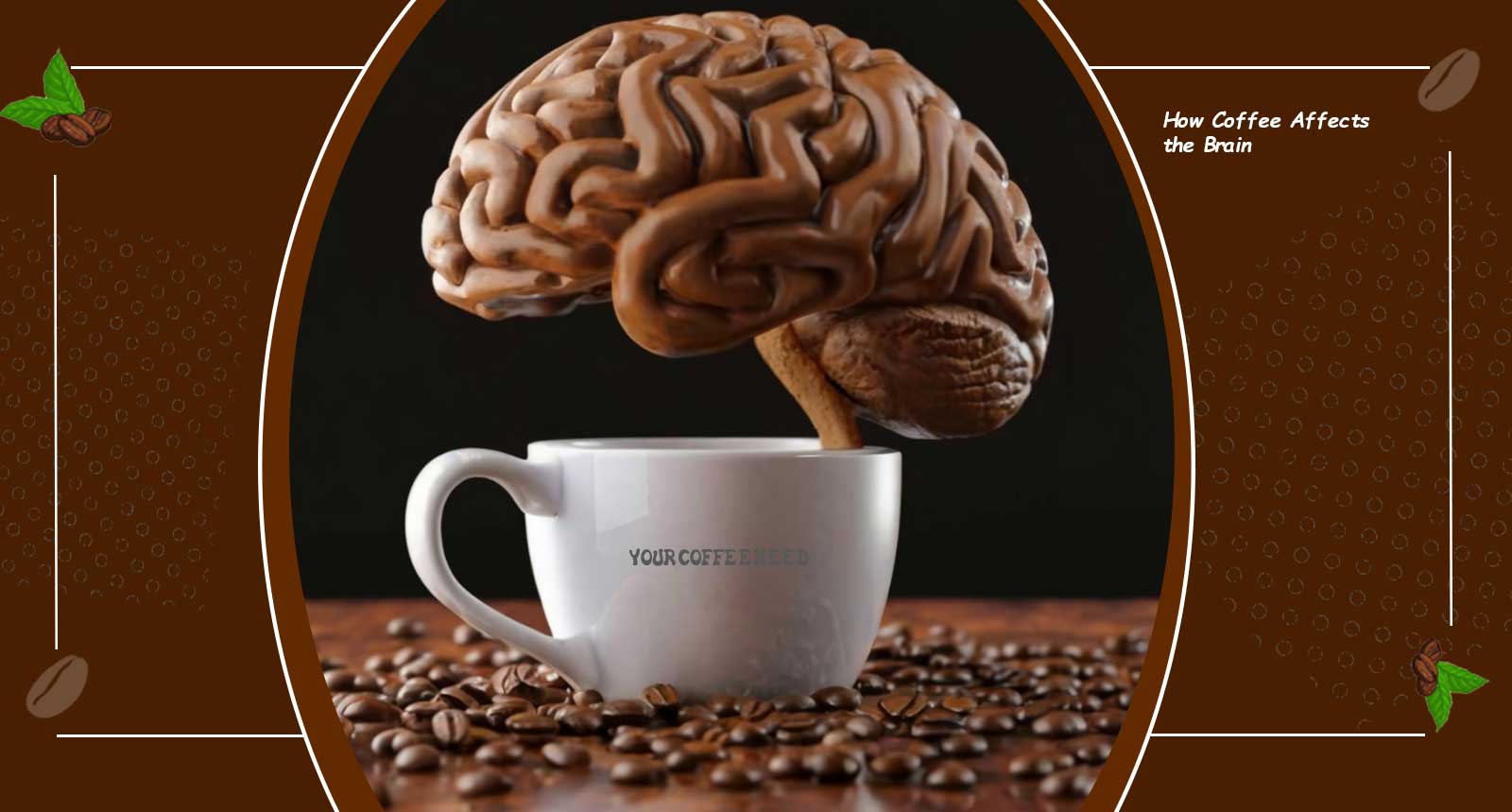 How Coffee Affects the Brain